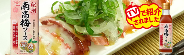 紀州南高梅ソース